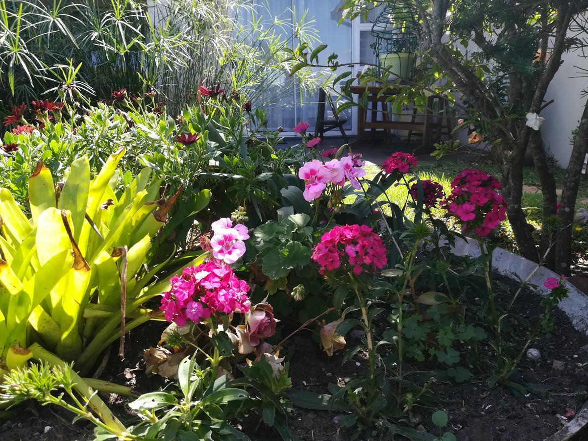The Coelacanth Guest House And Beach Thyme Self Catering Kiddʼs Beach Eksteriør billede