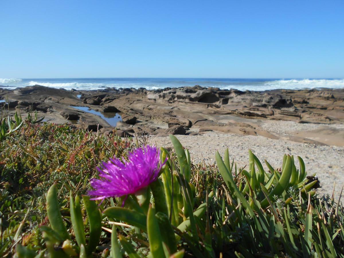 The Coelacanth Guest House And Beach Thyme Self Catering Kiddʼs Beach Eksteriør billede